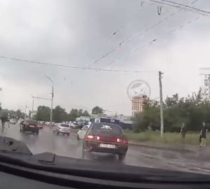 В Пензе по забитой машинами улице проскакал лесной зверь