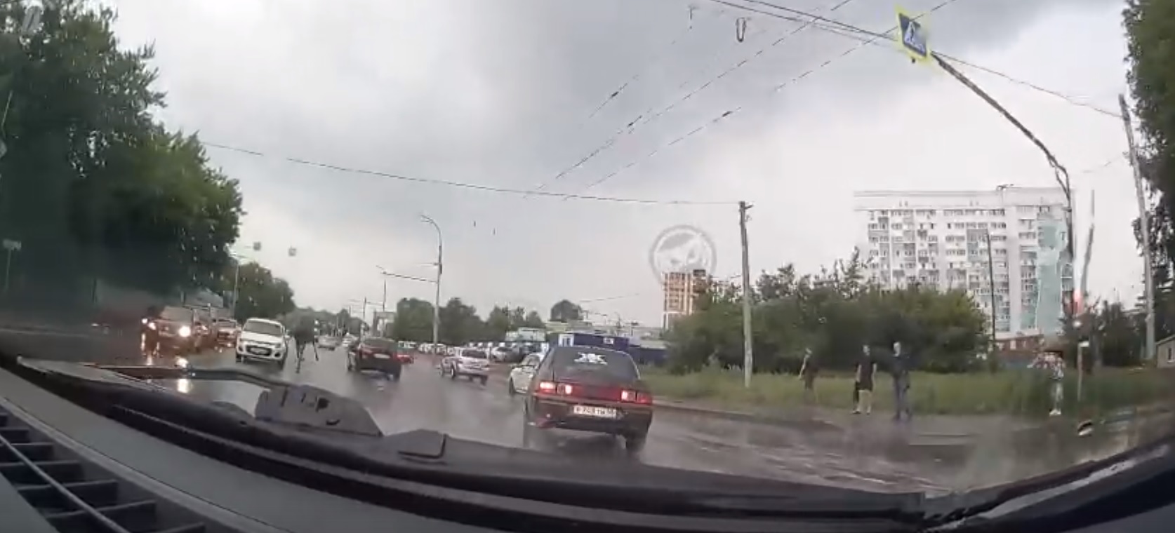 В Пензе по забитой машинами улице проскакал лесной зверь