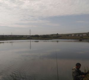 В Шемышейском районе осудили рыбаков, поймавших в сеть карася и щуку