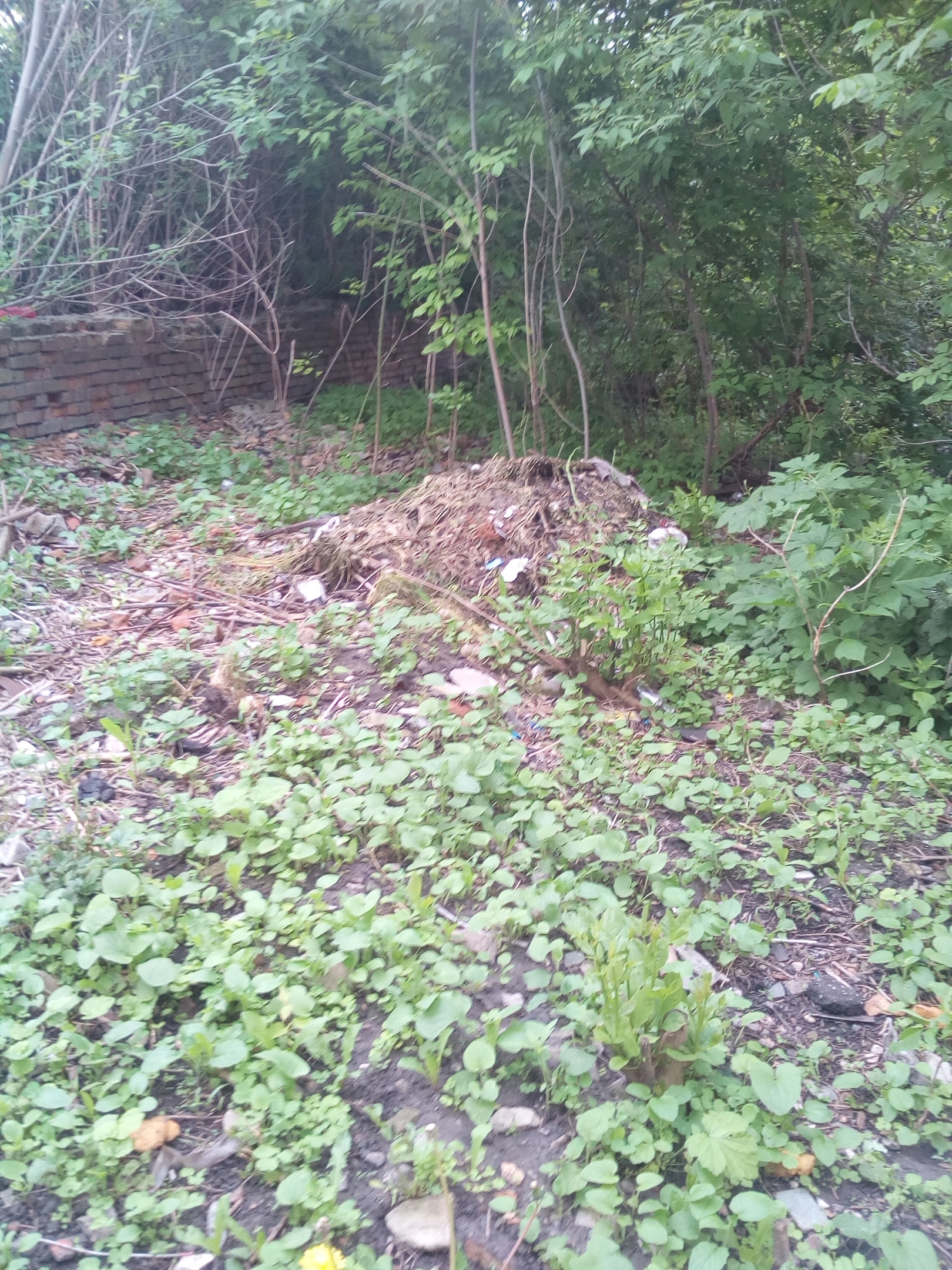 В Пензе мусор решили не убирать до момента благоустройства территории