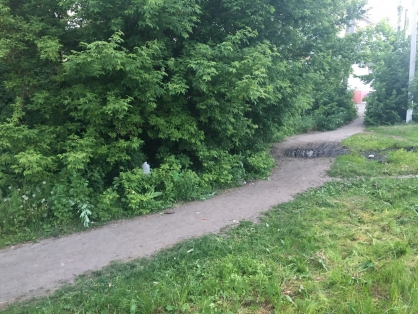 Жителю Бессоновки после избиения нанесли смертельное ранение палкой в гортань