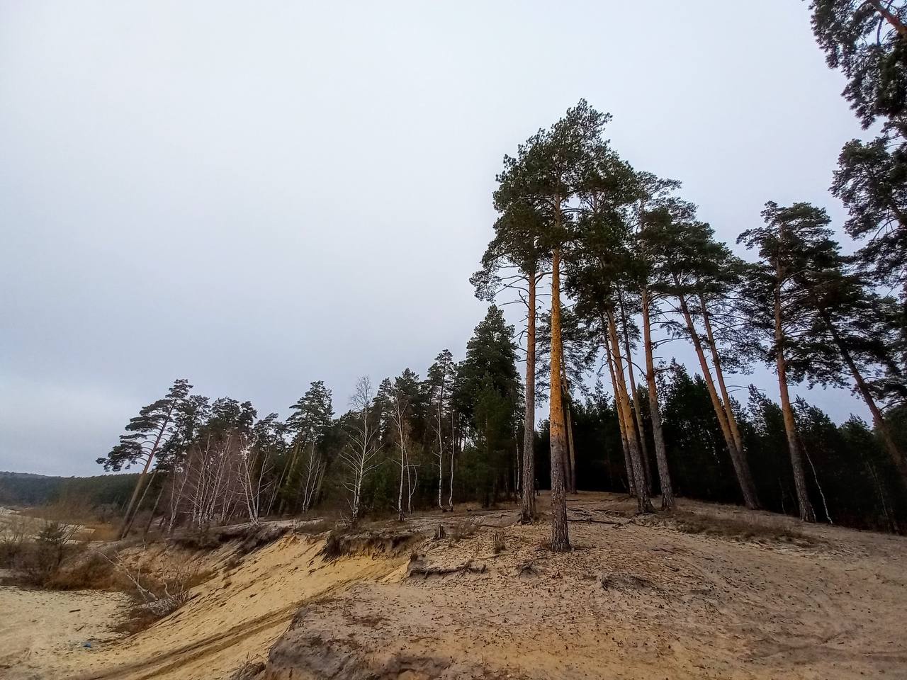 В пензенской мэрии ответили на вопрос о переименовании Сурского водохранилища