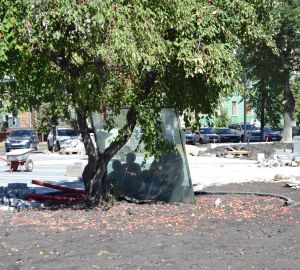 Пензенцам рассказали, когда из города вывезут порубочные остатки