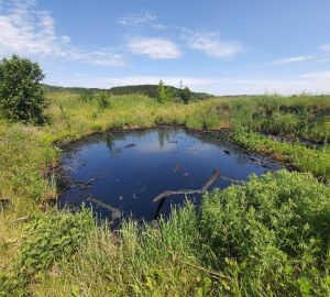 В Кузнецком районе на сельхозземлях обнаружили разлив нефтепродуктов