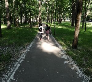 В Пензе приступили к озеленению двух участков на Олимпийской аллее