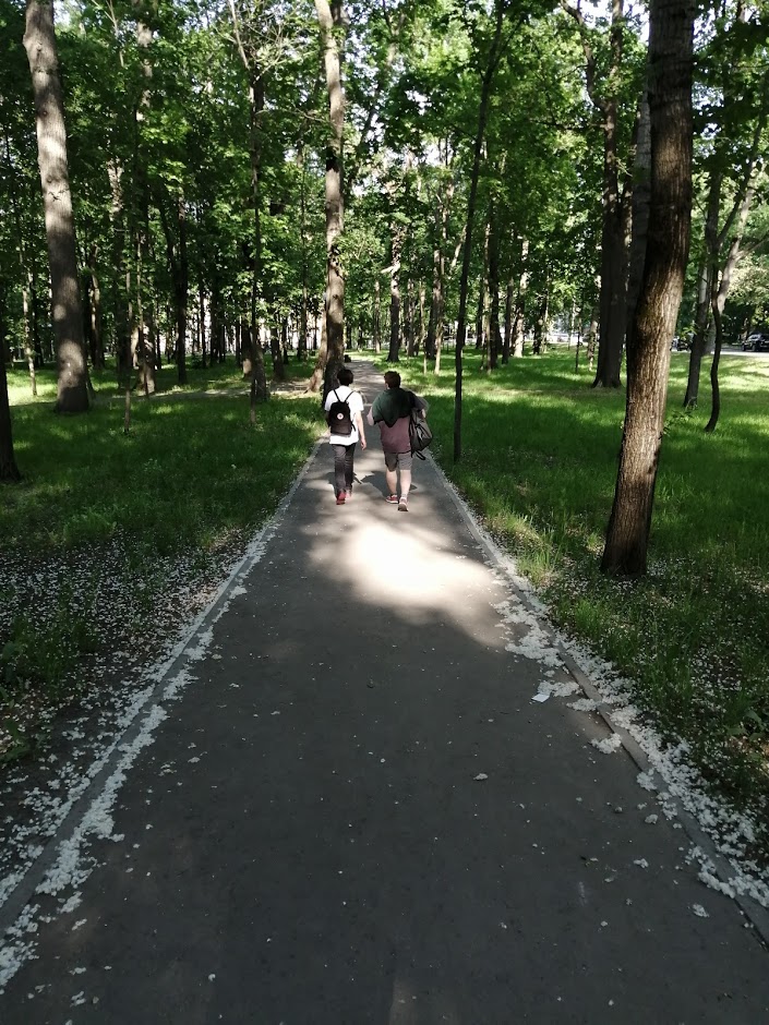 В Пензе приступили к озеленению двух участков на Олимпийской аллее