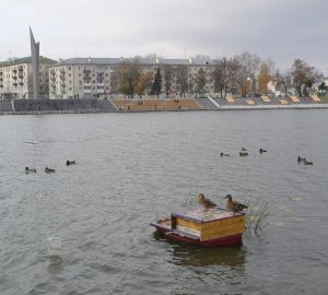 Пензенские купальщики рискуют жизнью в водоеме, не предназначенном для плавания