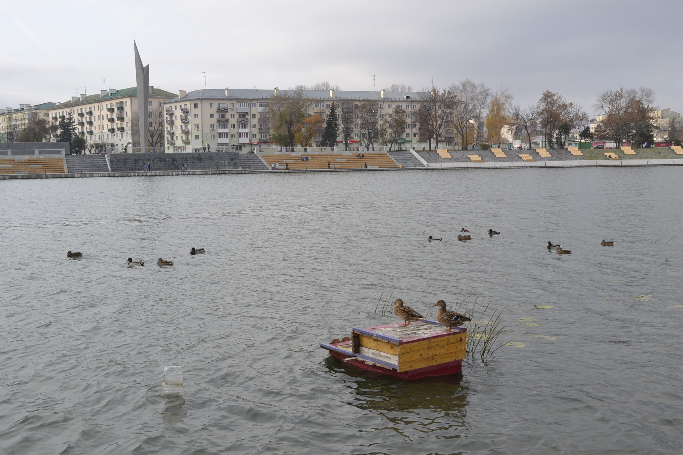 Пензенские купальщики рискуют жизнью в водоеме, не предназначенном для плавания
