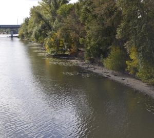 Пензенцам напомнили о правилах безопасности на воде
