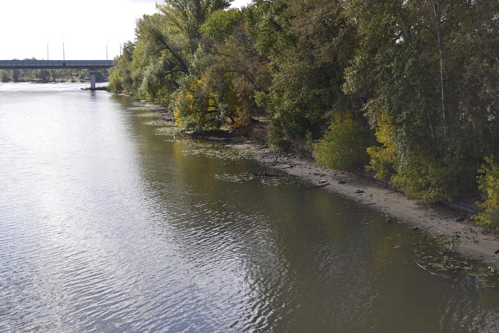 Туристы в соцсетях обсуждают предложение заплатить за тень, падающую от зонта