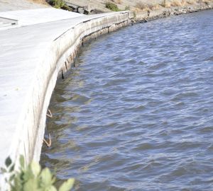 Россиянам рассказали правила поведения на воде во время пляжного сезона