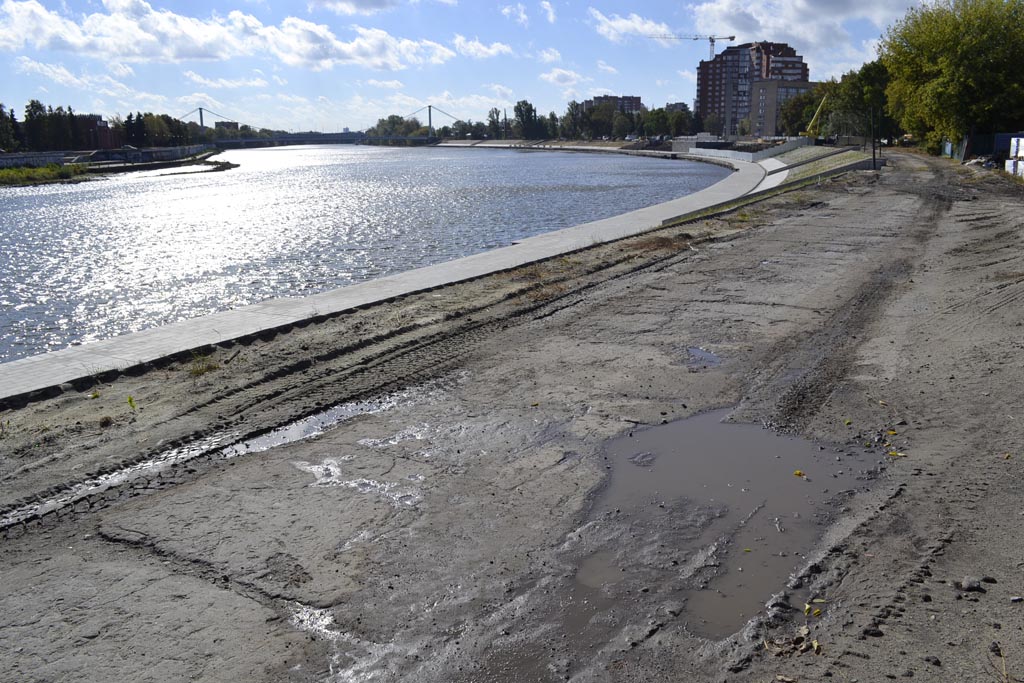 Пензенцев приглашают присоединиться к конкурсу волонтерских организаций по уборке территорий