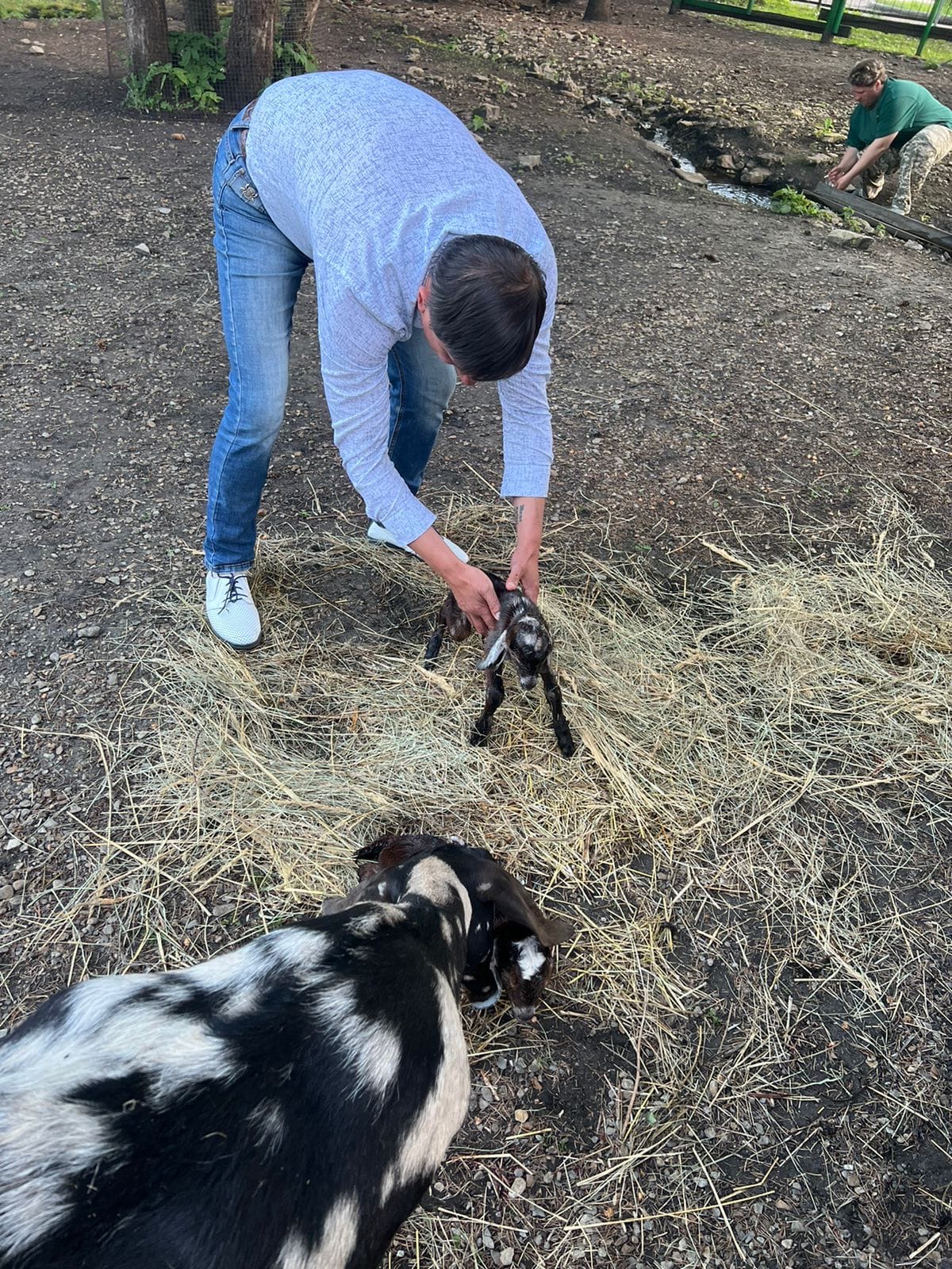 Директор пензенского зоопарка принял роды у козы