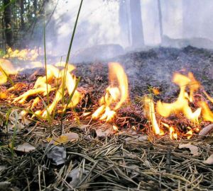 В Пензе назначены новые противопожарные штрафы