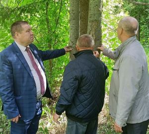 В Пензенской области восстановят «Дендрарий имени Г.Ф. Морозова», который пострадал от засухи