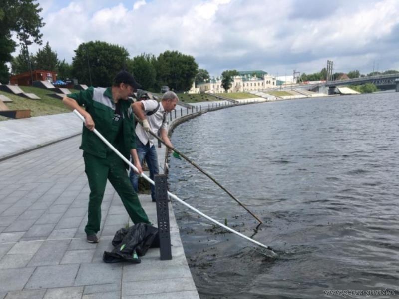 В Пензе провели уборку Суры