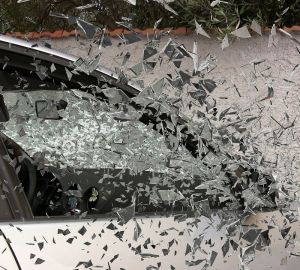 Под Пензой водитель сбил лося, врезался в дерево и погиб на месте