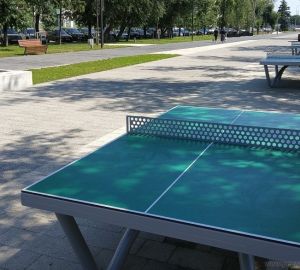 В Пензе состоится любительский турнир по настольному теннису