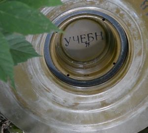 Пензенец нашел боеприпас в огороде своего земельного участка