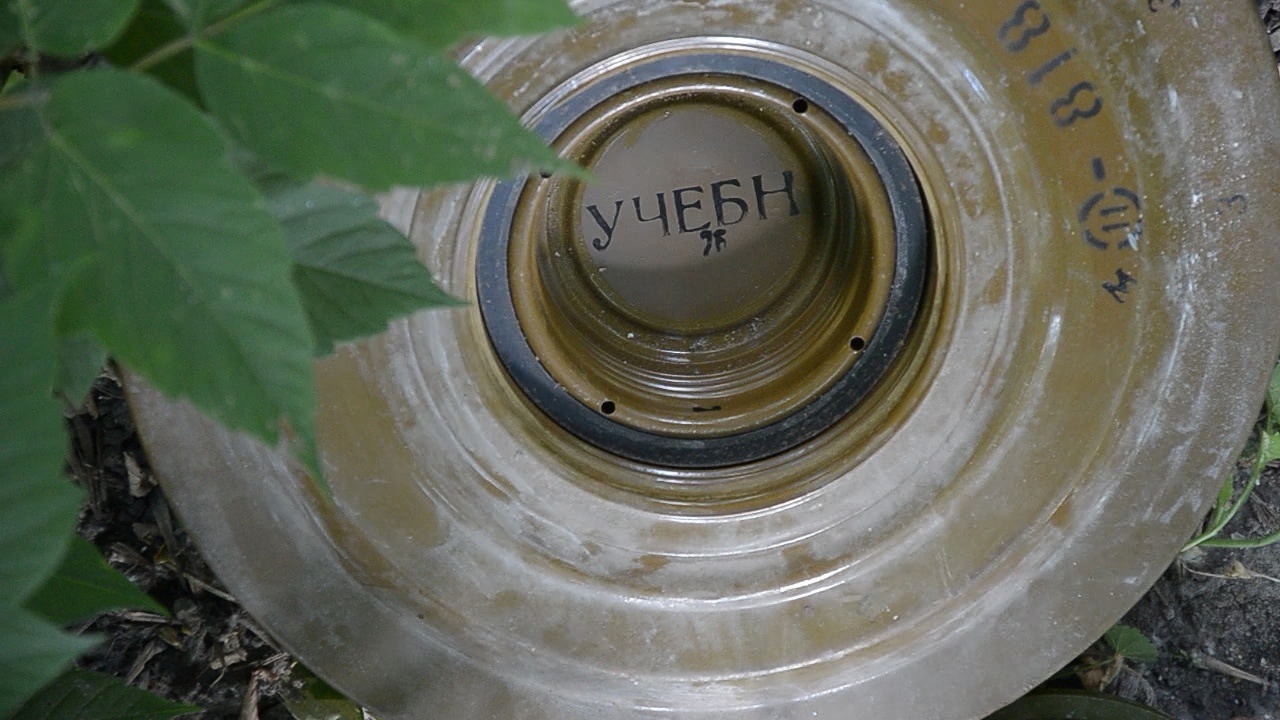 Пензенец нашел боеприпас в огороде своего земельного участка