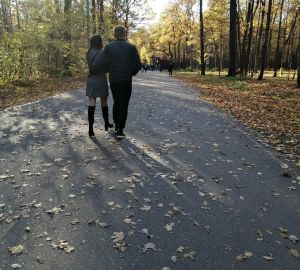 В Пензе в онлайн-голосовании за благоустройство территорий победил парк имени Белинского