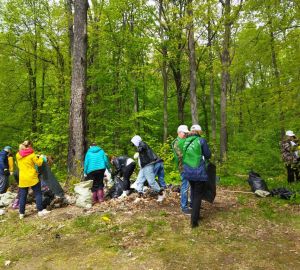 Пензенцы набросали у Сурского водохранилища 5 КамАЗов мусора