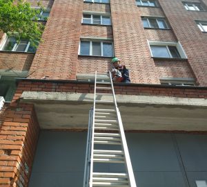 В Пензе спасатели пришли на выручку угодившим в неприятности коту и собаке