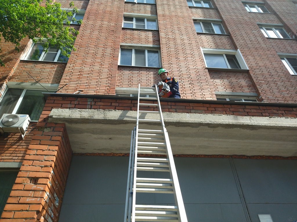 В Пензе спасатели пришли на выручку угодившим в неприятности коту и собаке