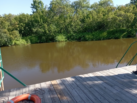 В Пензенской области к гибели подростка на пруду во время празднования выпускного причастен одноклассник
