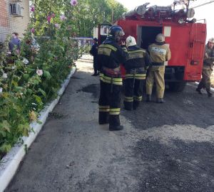 В Пензе на Окружной пожарные потушили пламя в гараже