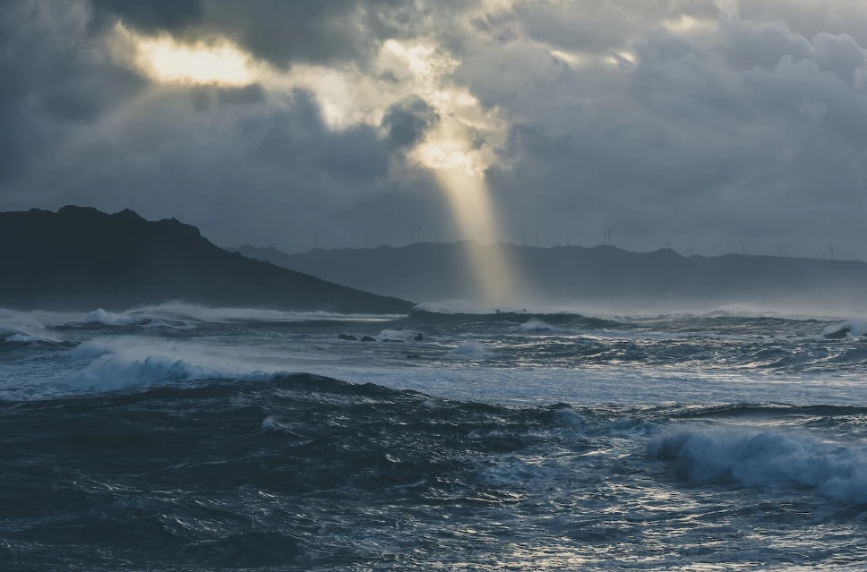 В Сочи два автомобиля с детьми унесло в Черное море, есть погибший