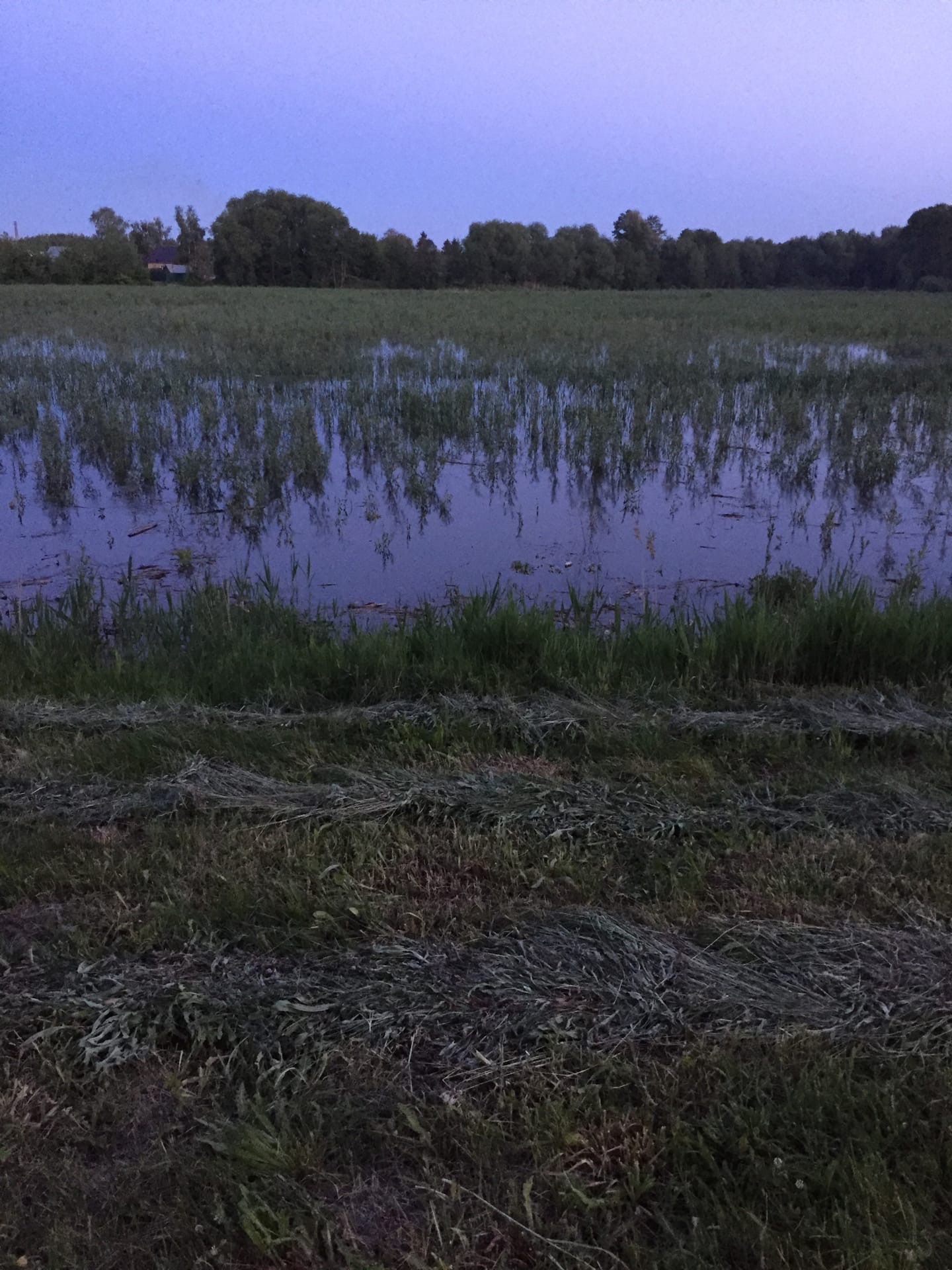 Жителям Чемодановки рассказали, когда местный пруд расчистят от зарослей
