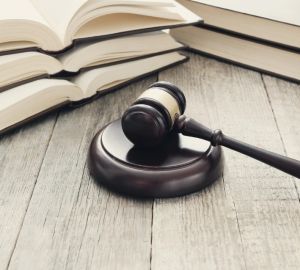 В Госдуме предложили лишать свободы за выезд из России обладающих гостайной