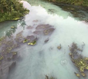 В Терновке подтвердили спуск сточных вод в реку Пенза