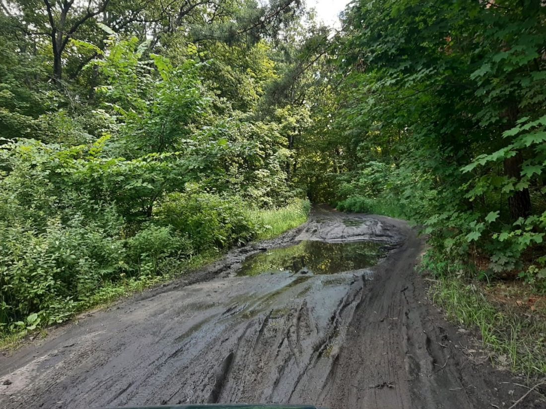 Пензячка пожаловалась в соцсетях на дорогу, ведущую через лес к детскому лагерю «Чайка»