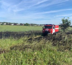 В Пензенском районе загорелось  200 квадратных метров мусора