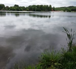 В Нижнеломовском районе с пляжа украли буи