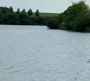 Следователи раскрыли подробности смерти проректора ПГУ на пруду в Каменском районе