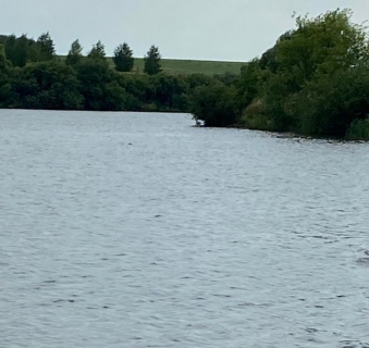 Следователи раскрыли подробности смерти проректора ПГУ на пруду в Каменском районе