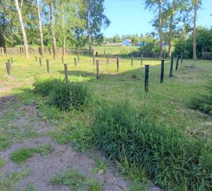 В Мокшанском районе приступили к возведению новой врачебной амбулатории