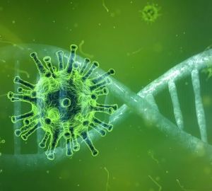 За день в Пензенской области коронавирус унес одну жизнь