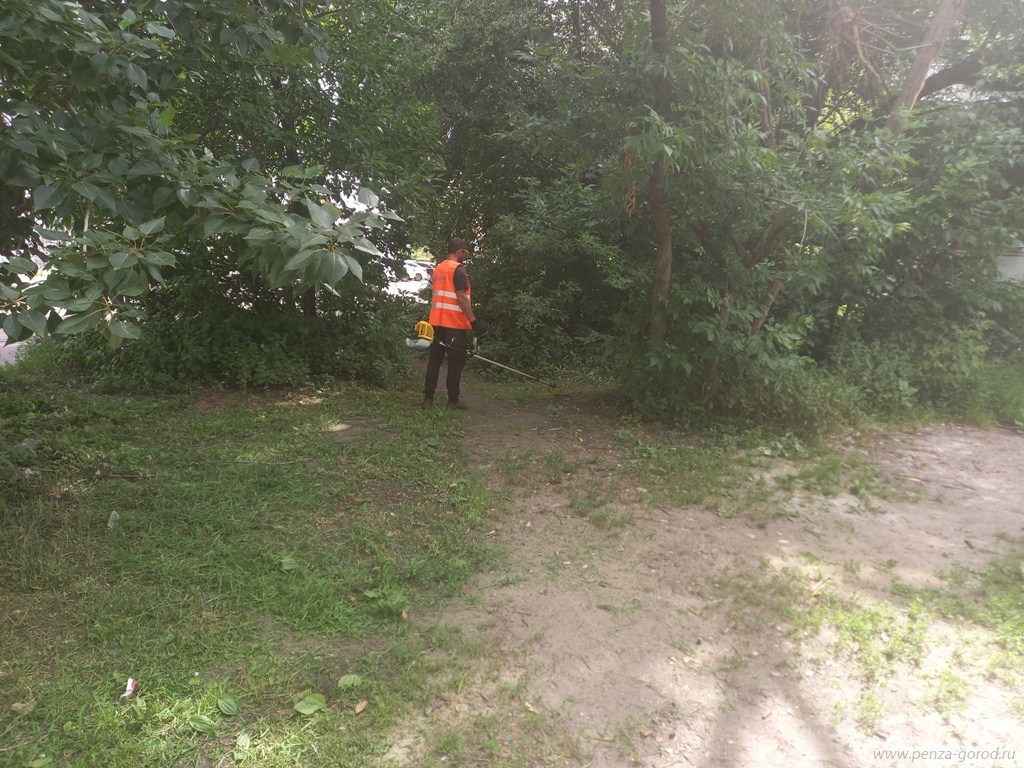 В центре Пензы выполнили санитарную очистку улиц и скосили траву