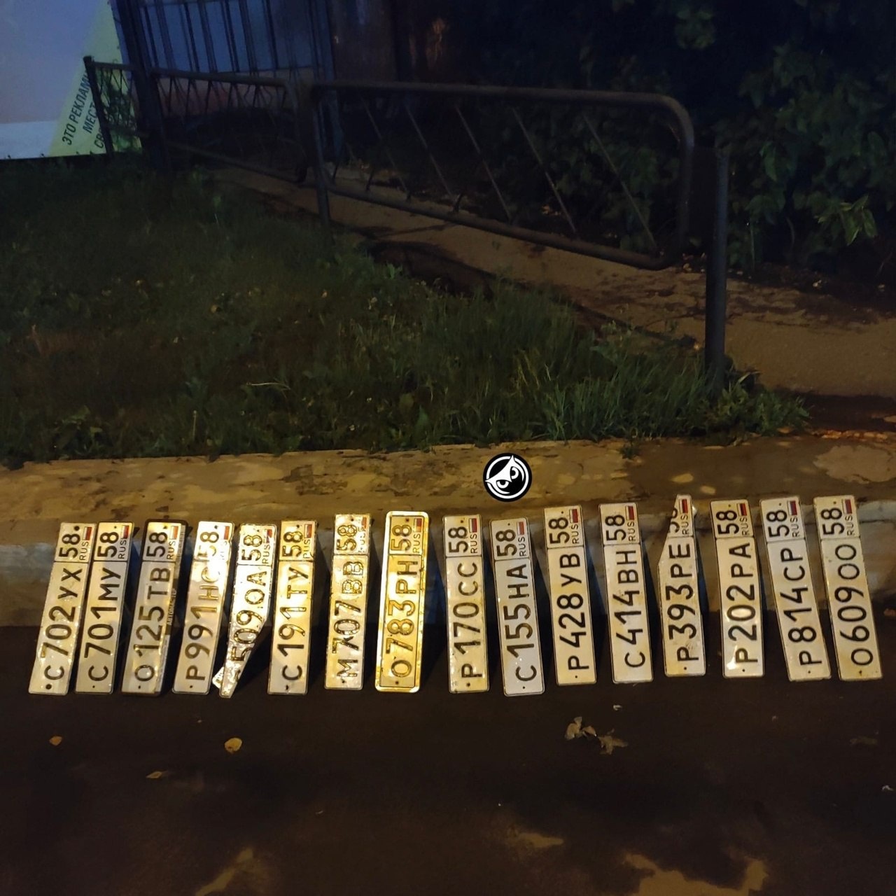 В Пензе автомобилисты разыскивают смытые потопом регистрационные знаки