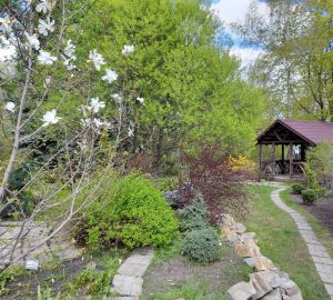 Пенза попала в топ-20 самых зеленых городов России