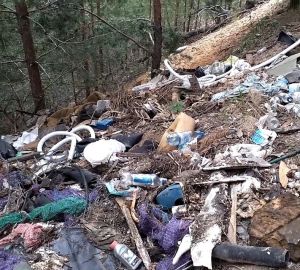 Кузнечане пожаловались на замусоренный лес