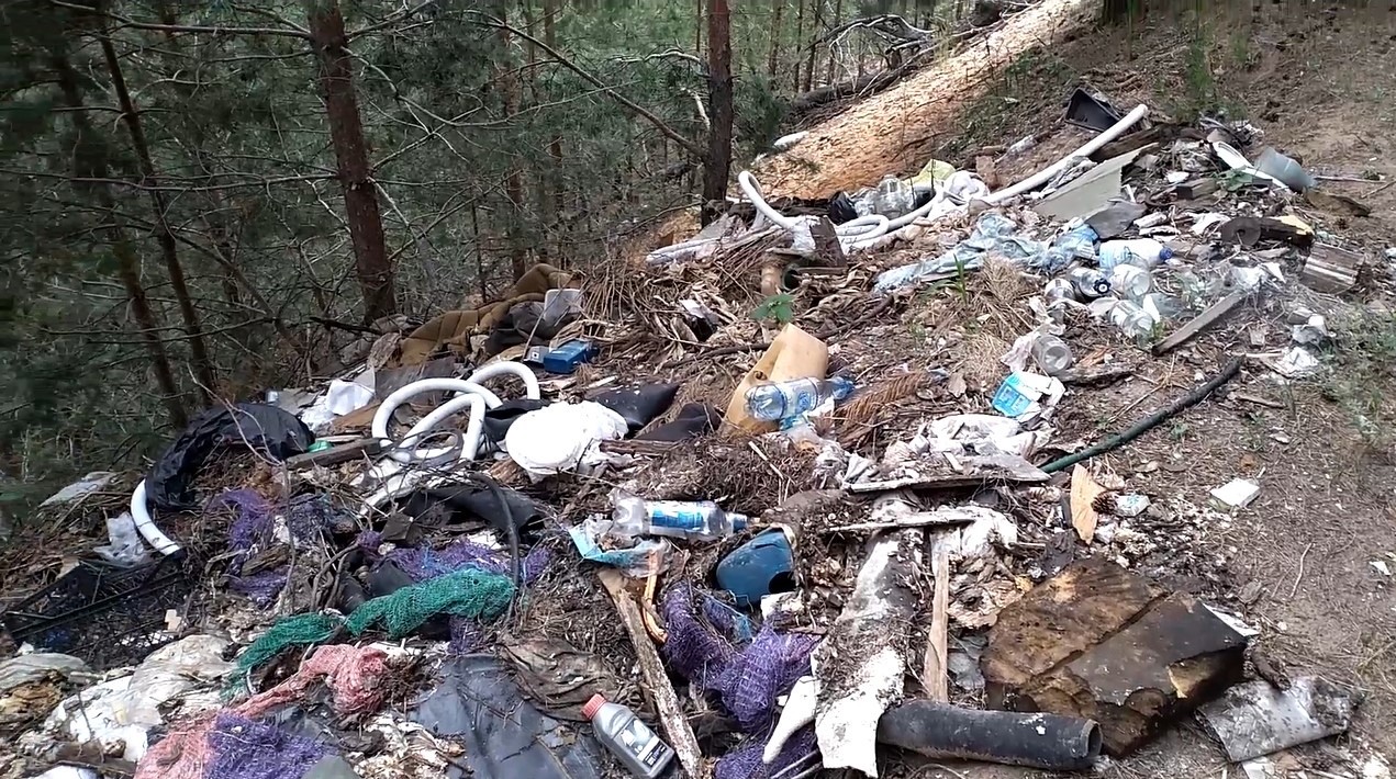 Кузнечане пожаловались на замусоренный лес