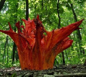 Пензенец устроил «пожар» в городском парке