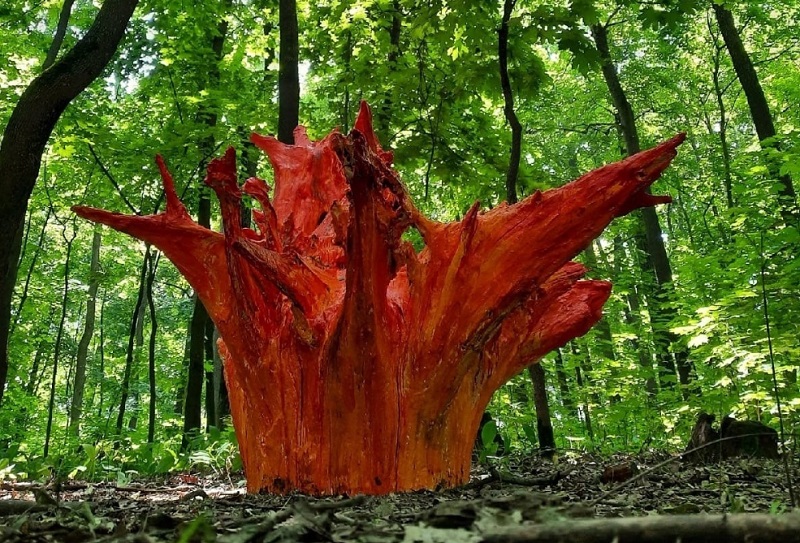 Пензенец устроил «пожар» в городском парке