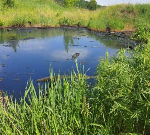 В прокуратуре назвали причину разлива нефтепродуктов в Кузнецком районе