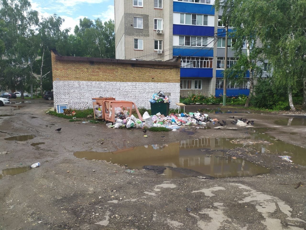 Пензенцам ответили, кто похитил мусорный контейнер на улице Мира